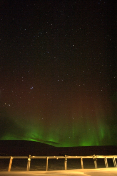 ../previews/037-DSC_2367.NEF.medium.jpeg