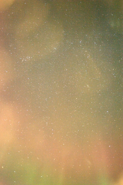 ../previews/121-DSC_3420.NEF.medium.jpeg