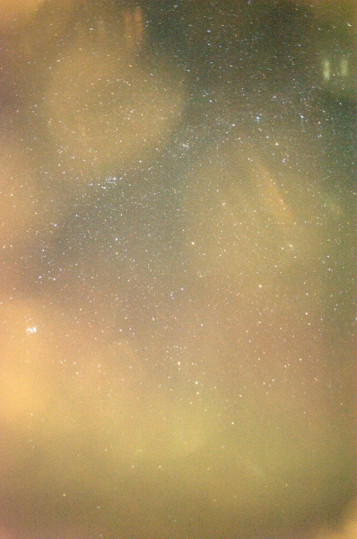 ../previews/150-DSC_3565.NEF.medium.jpeg