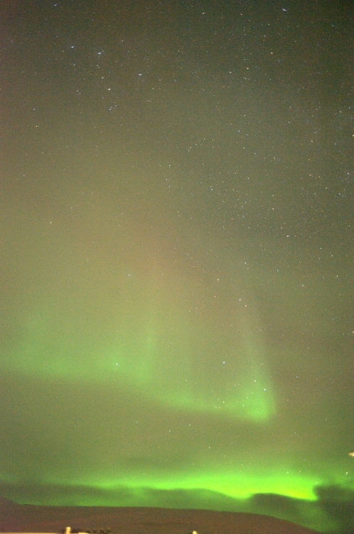 ../previews/001-DSC_5307.NEF.medium.jpeg