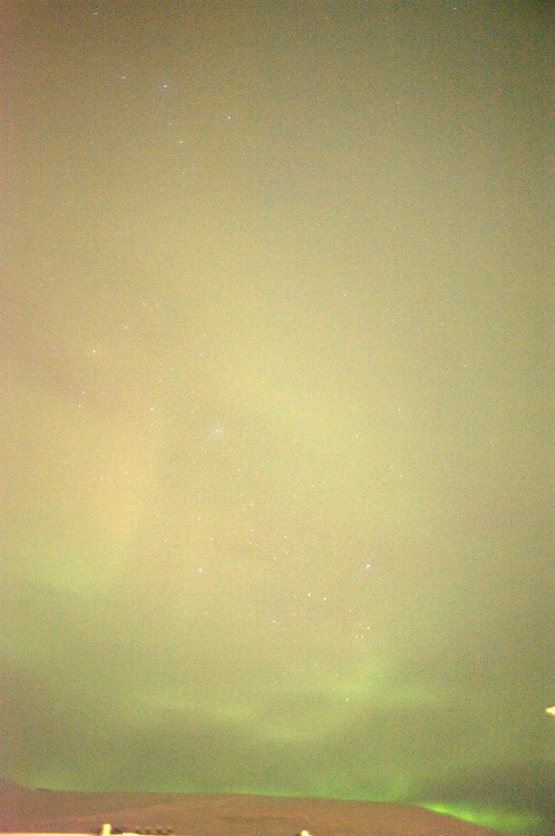 ../previews/008-DSC_5342.NEF.medium.jpeg