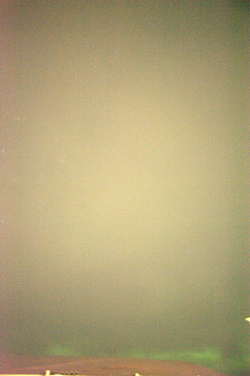 ../previews/029-DSC_5447.NEF.medium.jpeg