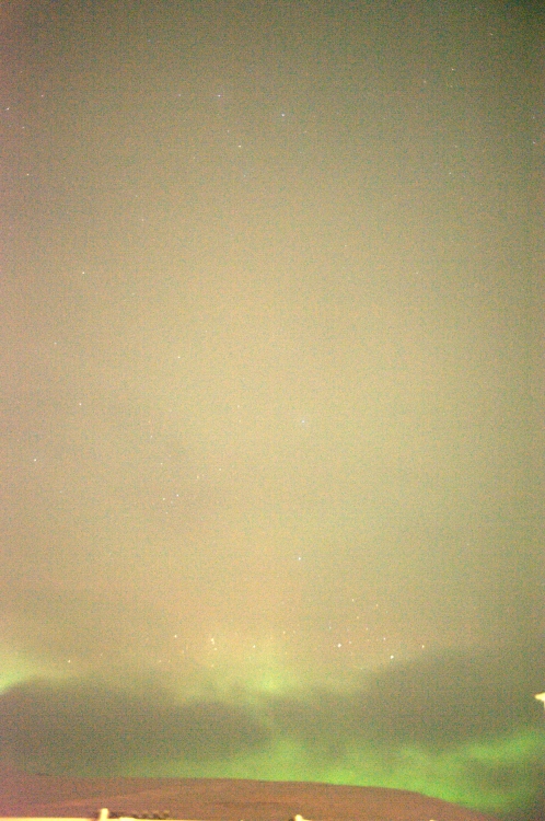 ../previews/051-DSC_5557.NEF.medium.jpeg