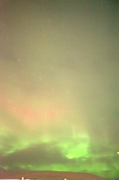 ../previews/054-DSC_5572.NEF.medium.jpeg