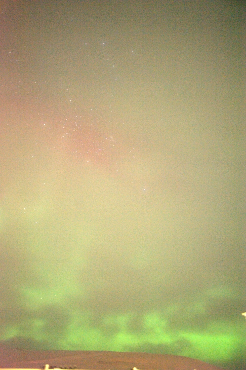 ../previews/059-DSC_5597.NEF.medium.jpeg