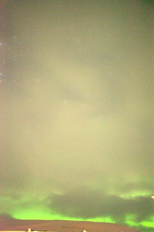 ../previews/077-DSC_5687.NEF.medium.jpeg