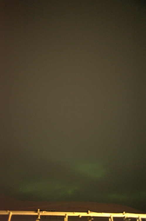 ../previews/100-DSC_5802.NEF.medium.jpeg