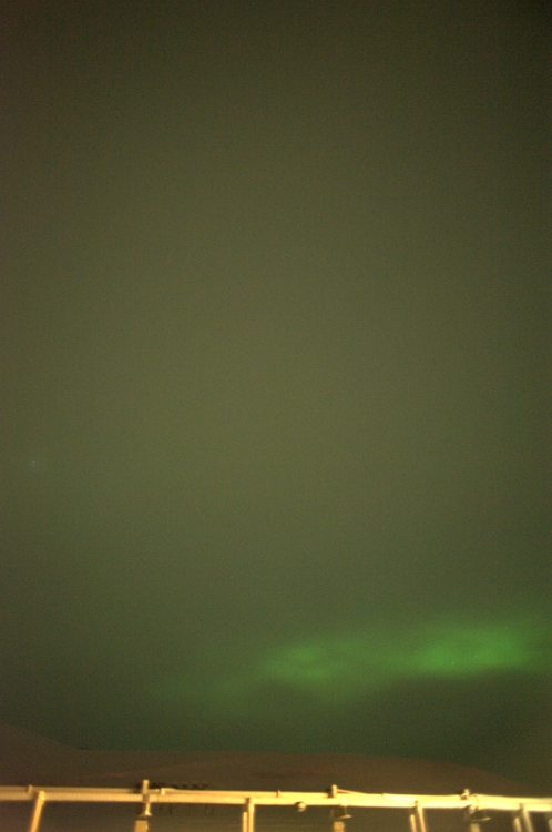 ../previews/198-DSC_6292.NEF.medium.jpeg