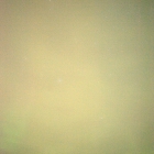 thumbnails/007-DSC_5337.NEF.small.jpeg