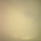 thumbnails/021-DSC_5407.NEF.small.jpeg