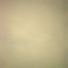 thumbnails/069-DSC_5647.NEF.small.jpeg