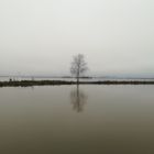 picture thumbnail